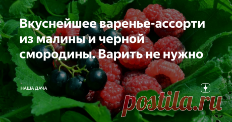 Вкуснейшее варенье-ассорти из малины и черной смородины. Варить не нужно Витаминное лакомство из ягод малины и черной смородины, без варки, с невероятным запахом и вкусом – это варенье просто «хит» в нашей семье. Съедается быстро, самым первым. А знаете, в чем его секрет? Когда его ешь, то кажется, будто лакомишься свежесорванными ягодами, прямо с куста – настолько ароматным оно получается.