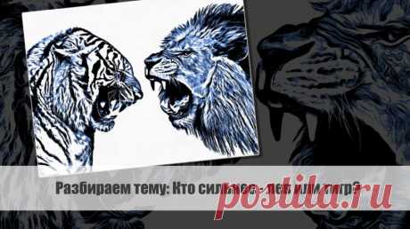 Разбираем тему: Кто сильнее - лев или тигр?