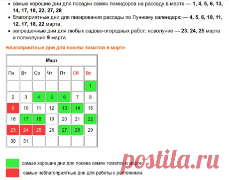 Когда же нужно сеять томаты на рассаду в 2020году? | Дачные советы | Яндекс Дзен