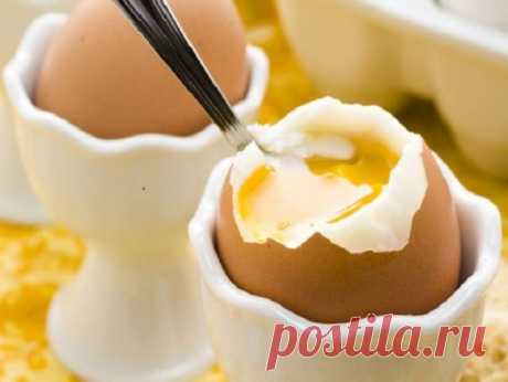 Пашот, орсини и другие необычные способы приготовления яиц Вторая пятница октября – Всемирный день яйца. Предлагаем попробовать новый способ приготовления этого замечательного продукта...