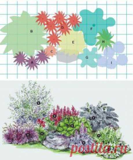 Цветочная композиция с хостами для полутени | Создаем красивый сад
