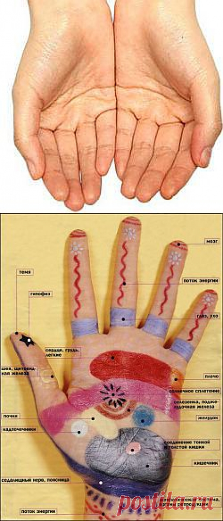 Помоги себе сам.Рефлексология или биоактивные точки Ваших ладоней.