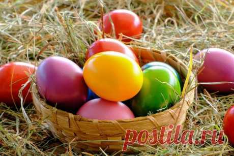 Красим яйца по старинке: только натуральные красители | Женские штучки Пульс Mail.ru