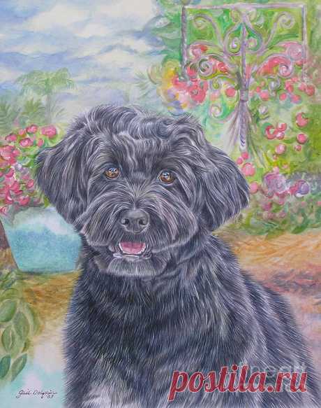Portuguese Water Dog by Gail Dolphin Portuguese Water Dog Painting by Gail Dolphin