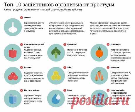 Топ-10 защитников организма от простуды