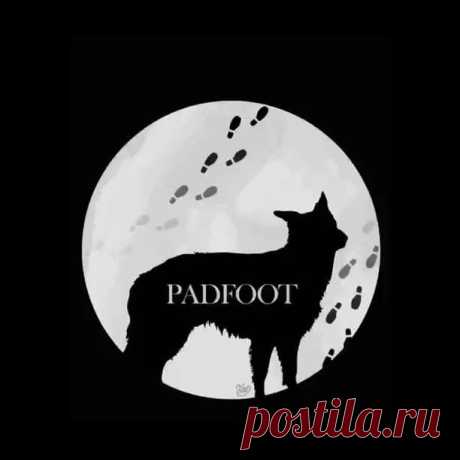 lycanthropuns:
По-любому Сириус часто развлекался тем, что разыгрывал Лили и действовал на нервы Джеймсу, проявляя к нему _особый_ интерес в её присутствии. Так что девушка даже задумывалась, а нет ли между этими двумя какой-то романтики.
⠀
Конечно, всё было лишь шуткой — и это было очевидно, пока только Блэк маялся этой ерундой. Но я думаю, как только Джеймс всё понял, он решил отплатить Бродяге той же монетой и тоже стал стараться его сконфузить в присутствии дам. В резу...