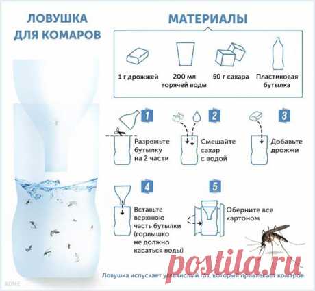 10 хитростей против комаров