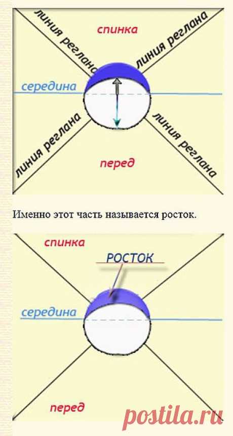 Росток при вязании сверху. реглан.