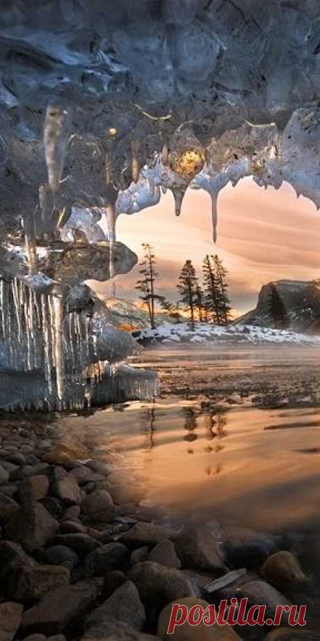 In hiding at Banff National Park in Alberta, Canada • photo: Robert Beideman on Orenco Photography Club