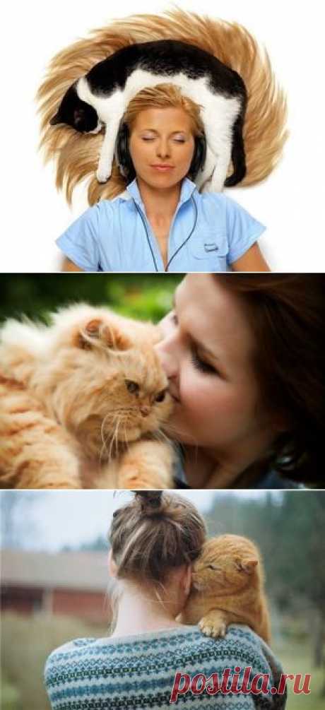 &quot;Доктор Мяу&quot;, или Лечимся кошками: Группа Женское здоровье