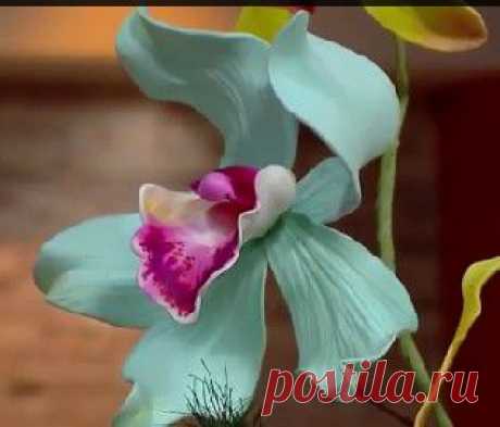 нежная орхидея из фоамирана.видео мастер-класс