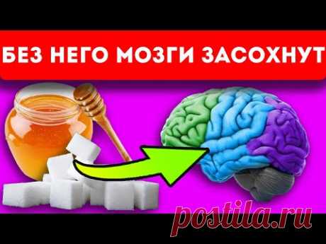 Попа за мозг не в ответе!  Почему лишний сахар уходит в бока