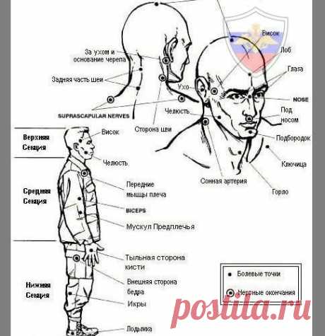 КОНТАКТ С ПРОТИВНИКОМ. УЯЗВИМЫЕ ТОЧКИ ТЕЛА