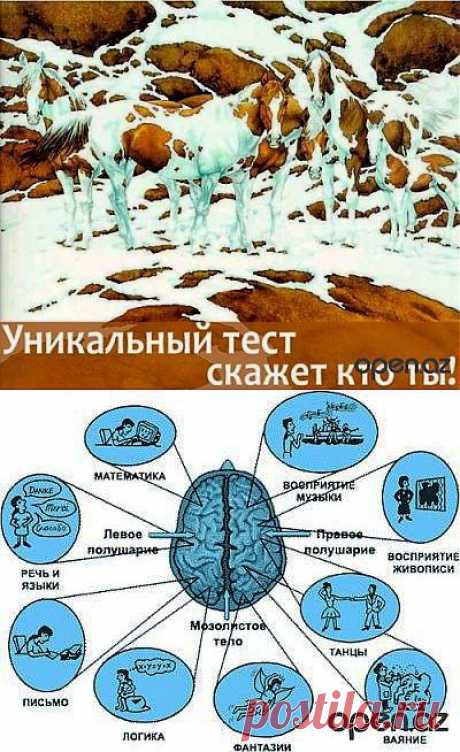 Взгляните на рисунок, что вы видите? | ВСЕГДА В ФОРМЕ!
Проверьте себя.