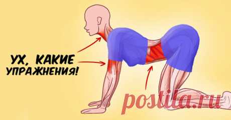 Набор упражнений, которые способны творить реальные чудеса с организмом женщины А вы часто занимаетесь собой? Эти упражнения помогут оставаться в тонусе и не только! Не так давно я наткнулась на книгу японского целителя «Система здоровья Кацудзо Ниши». Она привлекла мое внимание тем, что написана не на пустом месте, а основана на личном опыте автора...