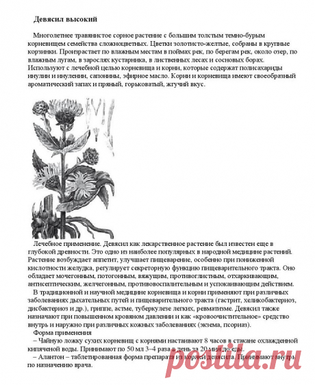 Девясил высокий.
«Уникальные лечебные свойства сорняков»  Корсун В.Ф., Викторов В.К.