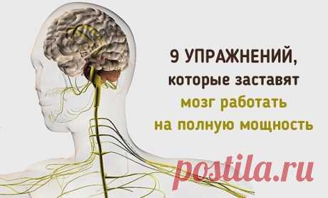 Кинезиологических упражнений разработано немало - я отобрала из них только те, которые удобно выполнять в положении сидя, в том числе во время работы на компьютере. А в том, что они действительно помогают, у меня нет ни капли сомнения, иначе бы я их давно забросила, а так уже на протяжении длительного времени прибегаю к ним ежедневно, благо они несложные и не требуют временных затрат.
Эти упражнения можно выполнять и взрослым и детям, они бодрят, тонизируют, снимают устало...