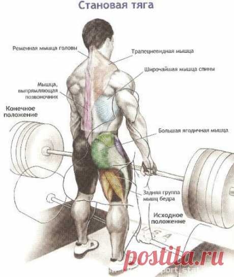 СТАНОВАЯ ТЯГА: ПОДРОБНО / Воркаут как образ жизни