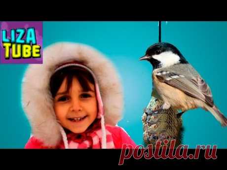 КОРМУШКА для птиц DIY - Как сделать своими руками? Лиза делает кормушки Видео для детей lizatube