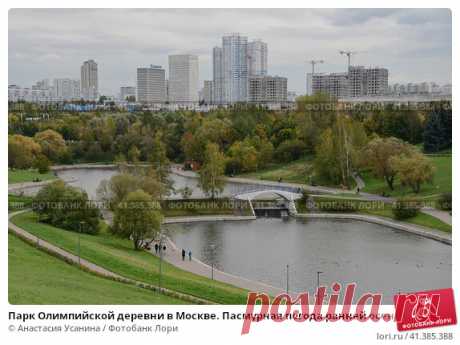 Парк Олимпийской деревни в Москве. Пасмурная погода ранней осенью в сентябре. Олимпийские пруды. (2016 год) Редакционное фото, фотограф Анастасия Усанина / Фотобанк Лори