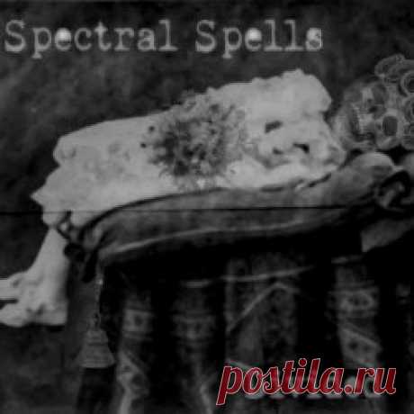 Spectral Spells - Divided (2024) [Single] Artist: Spectral Spells Album: Divided Year: 2024 Country: USA Style: Darkwave, Synthpop