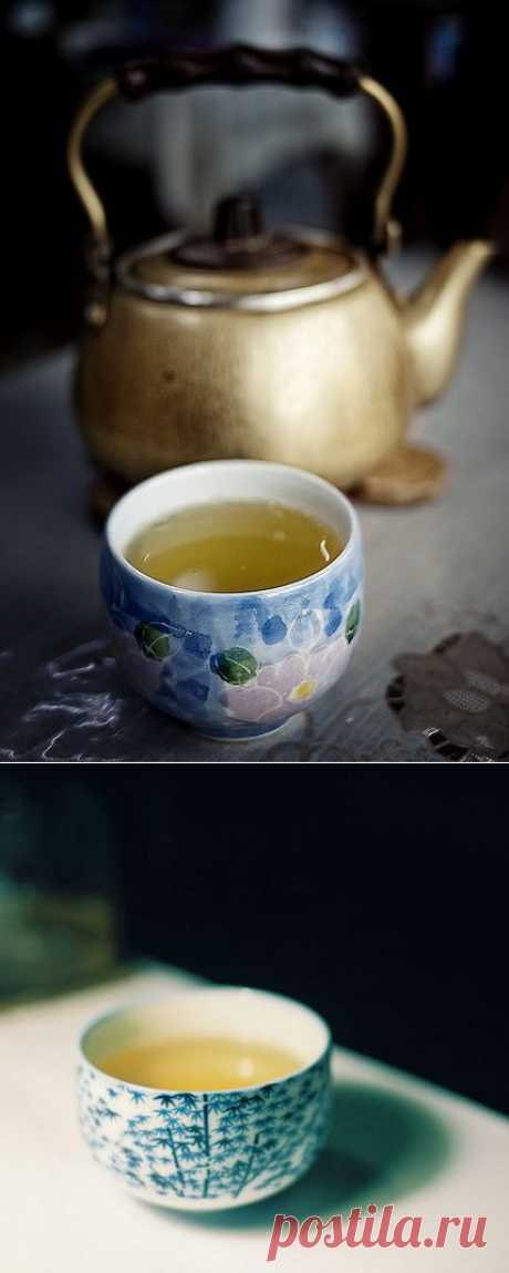 10 неоспоримых доводов раскрывающих всю пользу зелёного чая | ПолонСил.ру - социальная сеть здоровья