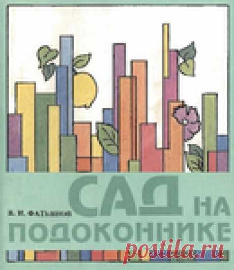 Архив: Сад на подоконнике