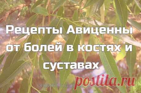 Прежде всего, боли следует разделить на хронические и острые. Первые не 
очень сильны, длительны, к ним, как правило, человек привыкает и даже не 
всегда активизируется на борьбу, что очень неправильно: продолжаясь долгое 
время, такие боли могут привести к деформациям суставов. Второй тип болей 
связан с покраснением суставов, местным повышением температуры, боль 
может пульсировать, ее трудно терпеть, и обычно больной готов на что угодно –
лишь бы облегчить страдания.

Ч...