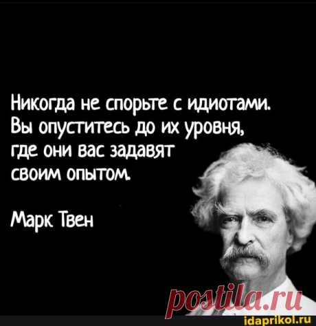 Никогда не спорьте с идиотами. Вы опуститесь до их уровня, где они вас задавят СВОИМ опытом, Марк Твен - АйДаПрикол