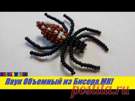 Объемный Паук из Бисера Мастер Класс! Животные из Бисера / Tutorial: Spider of Bead Master Class!