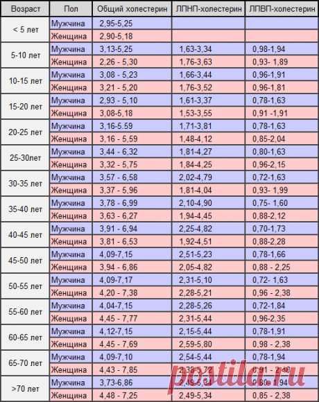 Холестерин: норма в крови у женщин и мужчин. Какой уровень считается нормой? | Сам себе Гиппократ