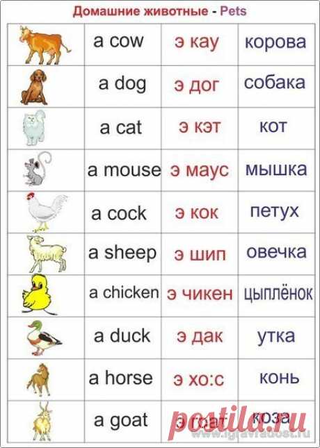 Английcкий для детей