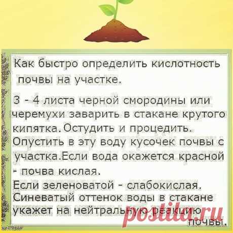 Причем почву желательно взять с глубины 10см)
Надеюсь, что эта информация будет вам полезна.