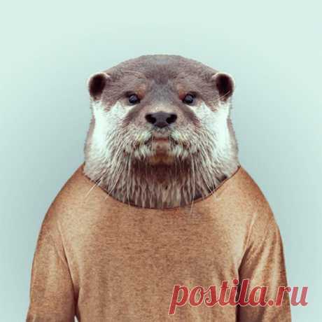 Забавная серия «Зоопортреты» от барселонского фотографа Яго Парталя (Yago Partal). На снимках он искусно сочетает головы животных с телами людей. В итоге получаются юморные снимки животных в человеческих одеждах, причем, каждый из них, кажется, имеет собственный стиль и характер. Волк в смокинге, носорог в кожаной куртке и медведь в зимнем свитере – просто прелесть!