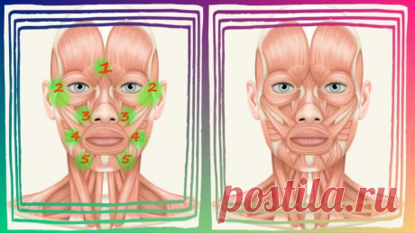 Ботокс-массаж «Пять точек», чтобы мышцы лица расслабить и морщины разгладить | ✧Сама себе косметолог✧ | Яндекс Дзен