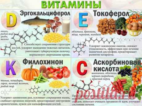 РЕЦЕПТЫ БЛЮД ДЛЯ СНИЖЕНИЯ ВЕСА