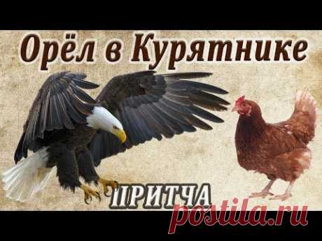 Орёл в Курятнике (Мудрая притча о предназначении человека и его самооценке)