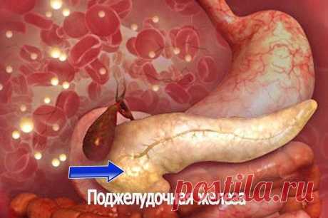 ЕСЛИ ВАША ПОДЖЕЛУДОЧНАЯ СТРАДАЕТ — РЕЦЕПТ С МГНОВЕННЫМ ДЕЙСТВИЕМ. - Образованная Сова