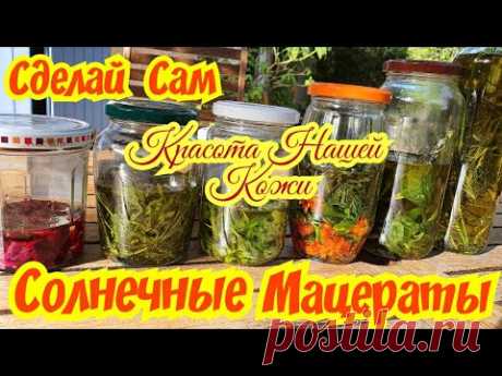 DIY: Солнечные Мацераты (Масляная Вытяжка) Для Красоты Нашей Кожи,Часть 1/Мадам Француженка