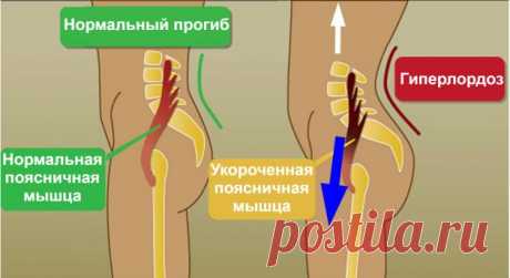 НАКЛОНЯЙСЯ И БУДЕШЬ ЗДОРОВ — Калейдоскоп событий