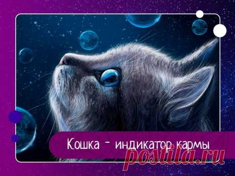 Кошка - индикатор кармы Большая часть нормальных людей относится к кошкам исключительно позитивно, но некоторые представители рода людского испытывают к ним ничем необъяснимую неприязнь. Кошки их раздражают, нервируют, мешают им, и вызывают желание немедленно прогнать. На первый взгляд кажется, что тут такого?...