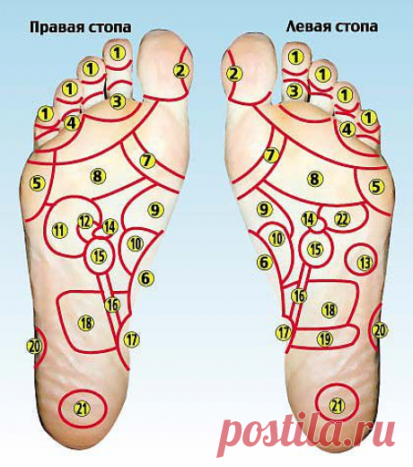 Массаж биологически активных точек стопы.