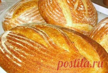 Фрацузский заквасочный хлеб по технологии Калвеля | ЛЮБОВЬ ПРУСИК | Яндекс Дзен