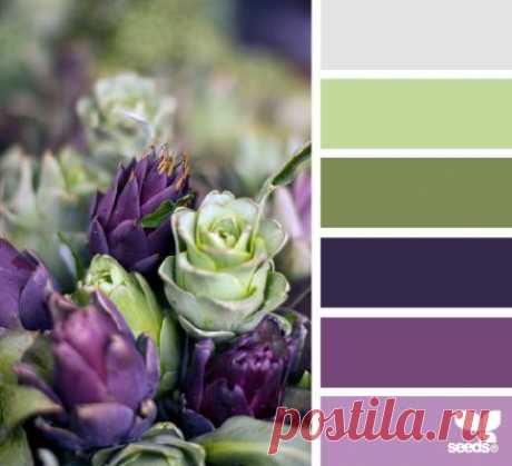 Design Seeds® | for all who ❤ color | artichoke hues