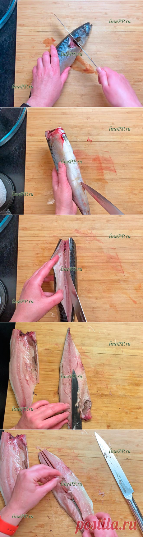 Диетическая скумбрия запечённая в духовке – как приготовить, как разделать на филе от костей