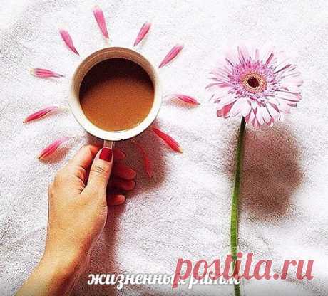 Хороший день начинается с хорошего кофе ...
или чая...
или песни ...
или улыбки хорошего человека.
Пусть хорошее будет с нами весь день!

...доброе утро...
©