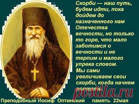 оптинские старцы: 6  изображений найдено в Яндекс.Картинках