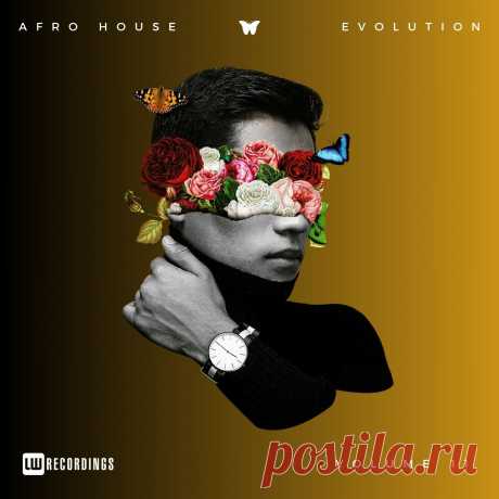 VA - Afro House Evolution, Vol. 11 LWAHEVO11 » MinimalFreaks.co