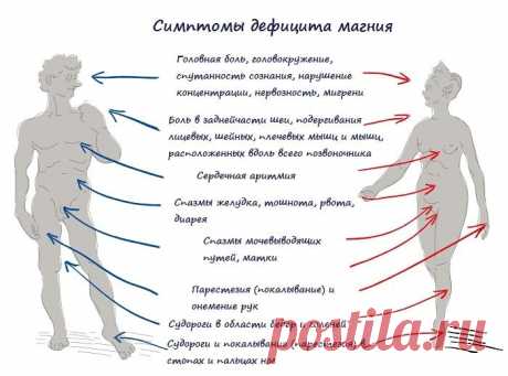 Домашний магниевый коктейль: избавляет от тревожности за 1 неделю!