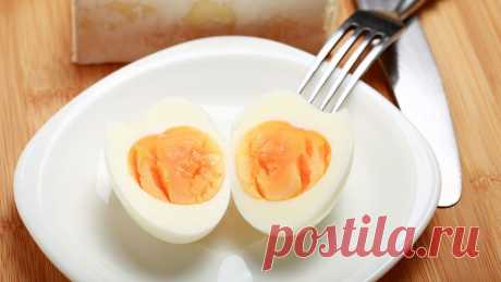 Плотный белковый завтрак спасает от ожирения - новости на Здоровье Mail.Ru